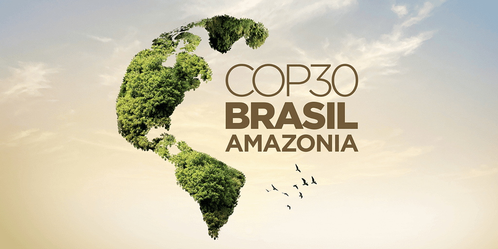 Beds, Forests and the Price of Credibility at COP30